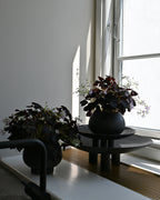 101 Copenhagen Urchin Plant Pot Petit