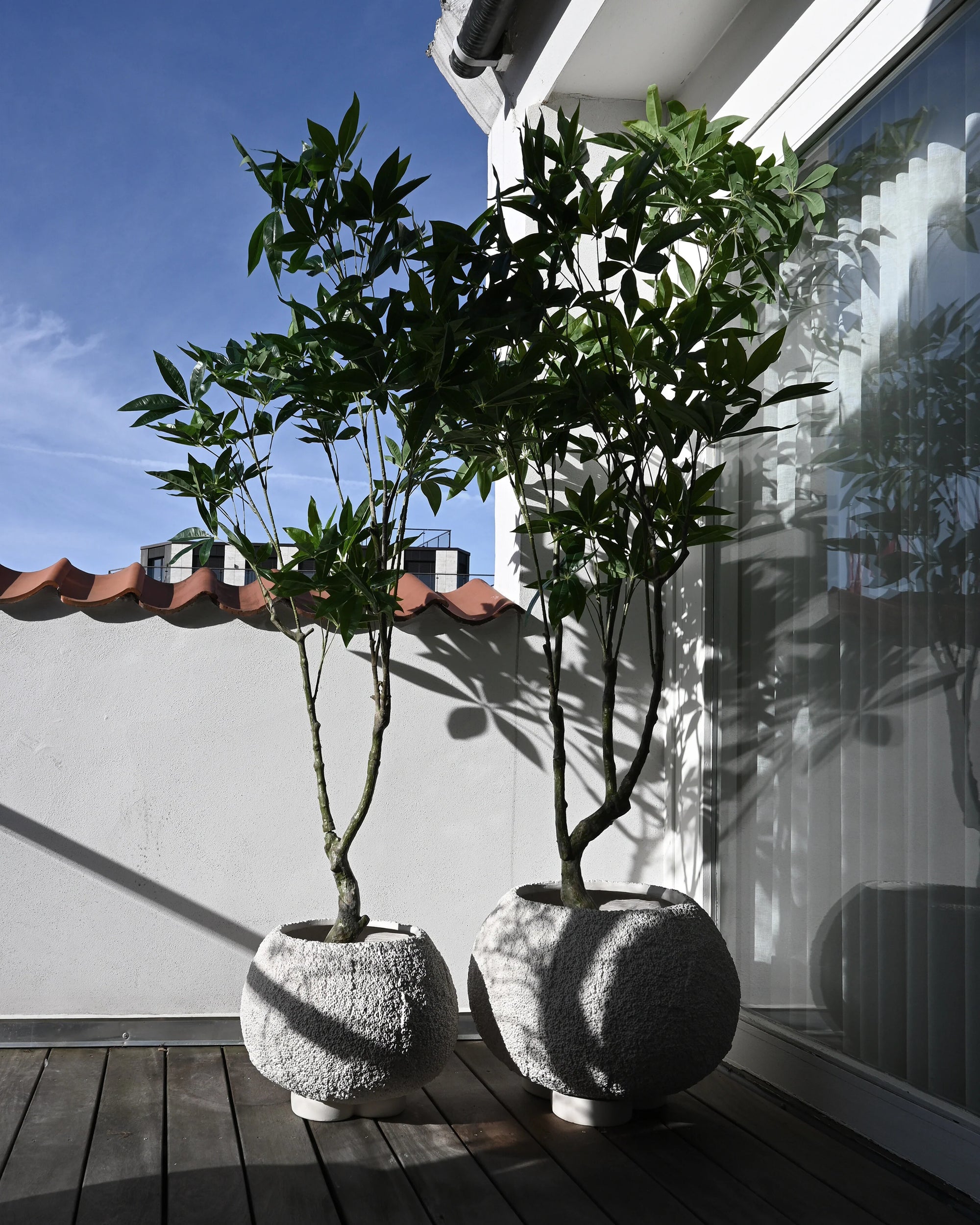 101 Copenhagen Urchin Plant Pot Medio