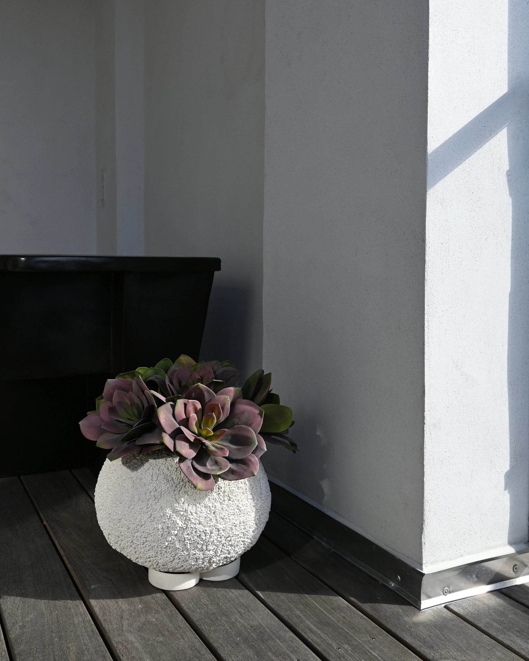 101 Copenhagen Urchin Plant Pot Petit