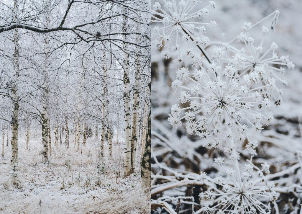 Food Over the Campfire – Rezepte für Tageswanderungen & Trekkingtouren in der Wildnis
