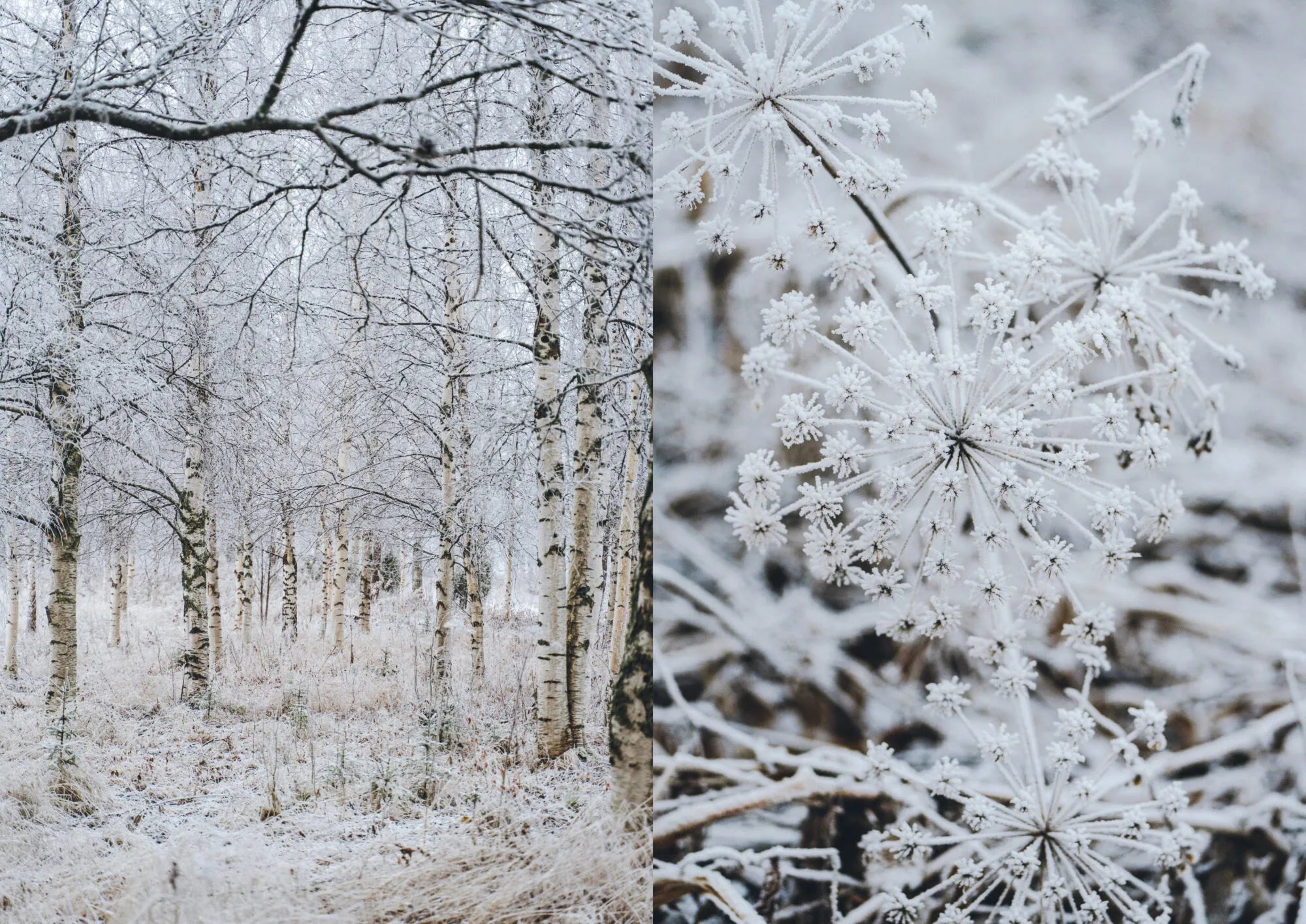 Coffee Table Book - Sauna