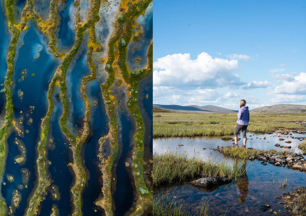Coffee Table Book - Food in the Woods – Vegetarische Rezepte von einfachen Snacks bis zu vollwertigen Wandermahlzeiten