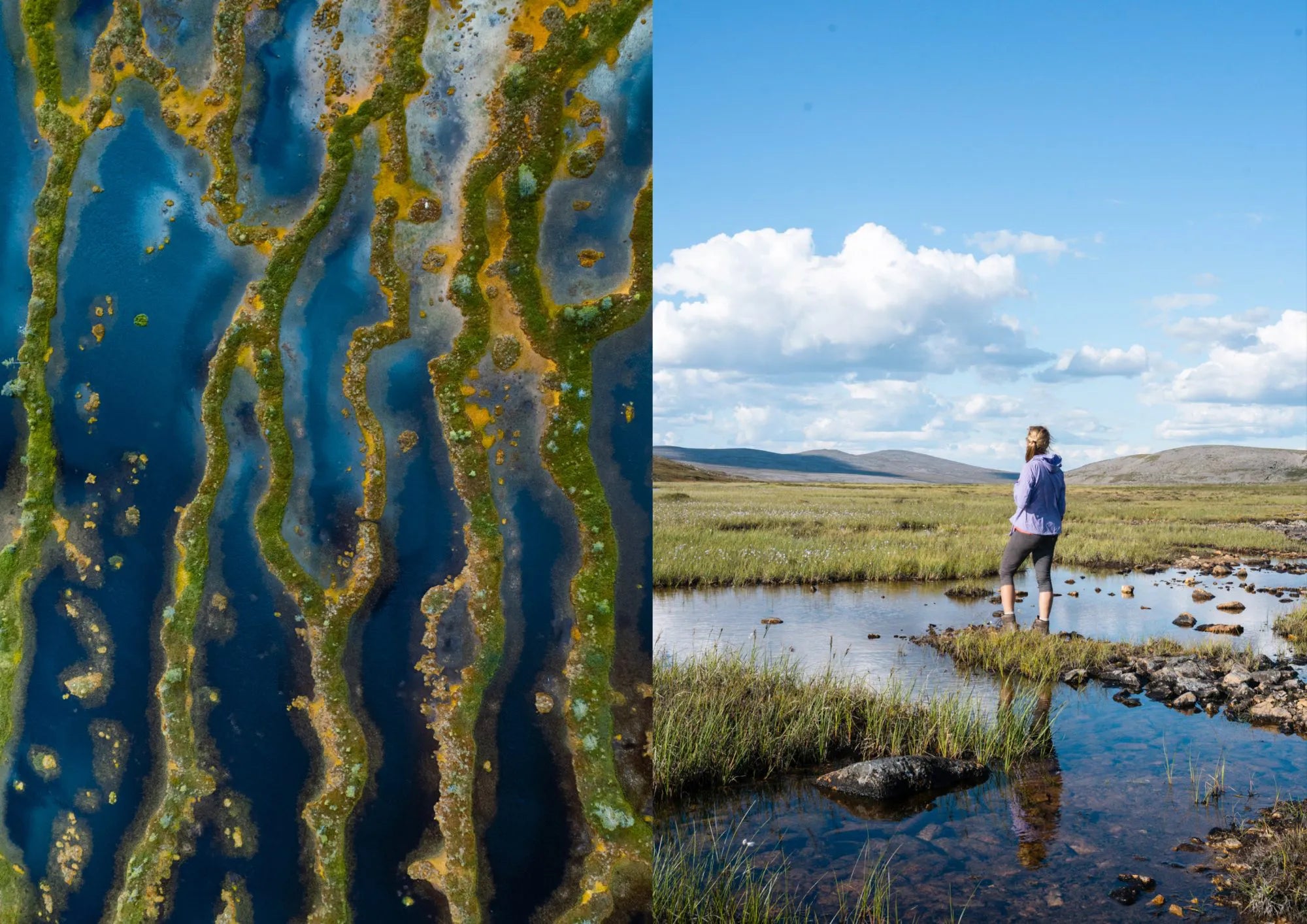 Coffee Table Book - Food in the Woods – Vegetarische Rezepte von einfachen Snacks bis zu vollwertigen Wandermahlzeiten