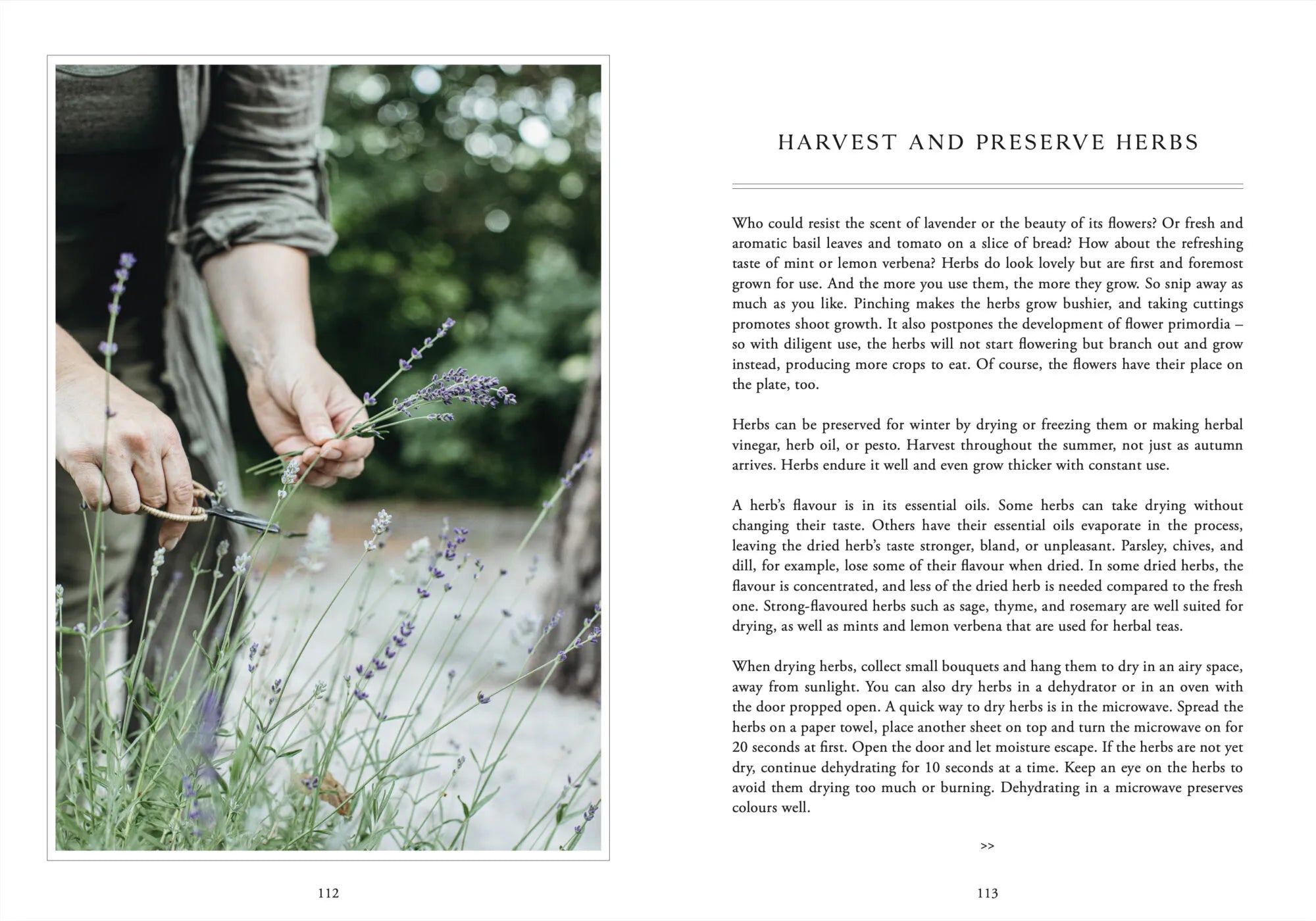 LivingWithHerbs_Layout_06.jpg.webp