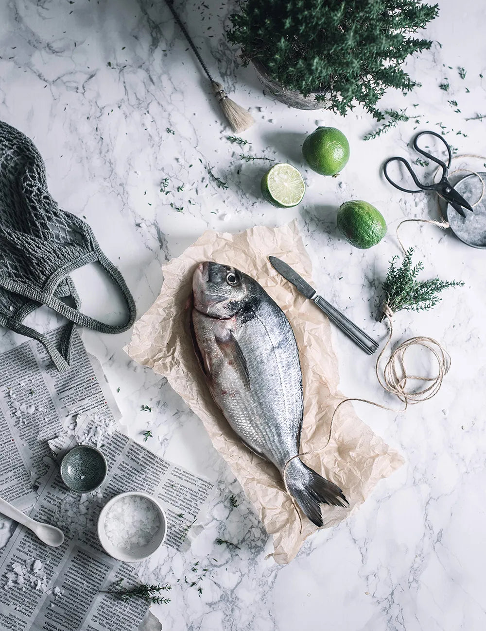 ViolaMinerva_Flatlay_0202-6_Final.jpg.webp