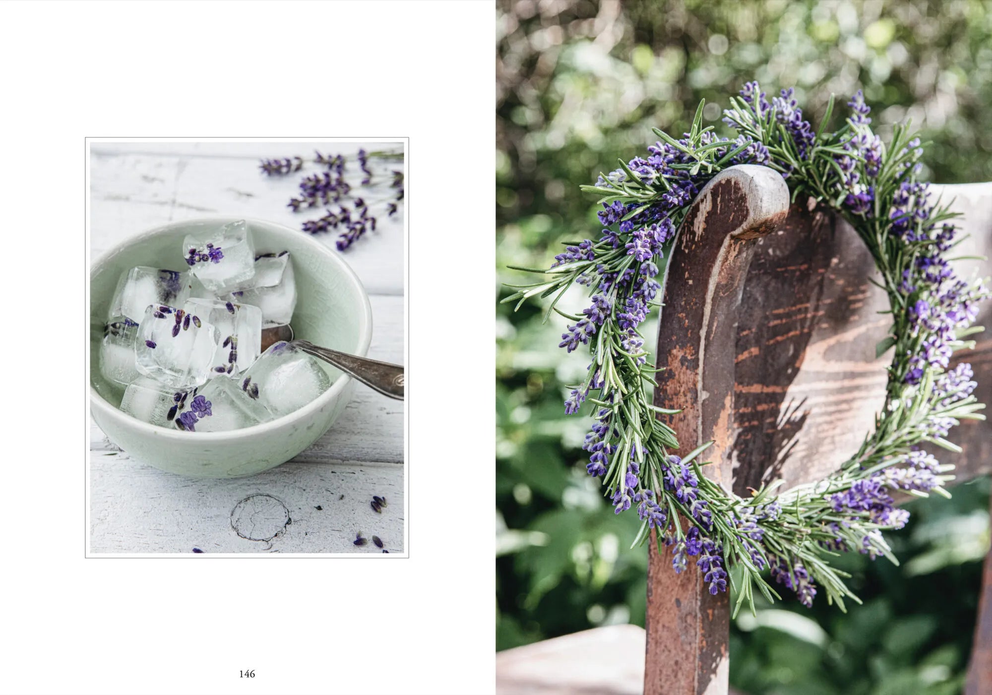 LivingWithHerbs_Layout_09.jpg.webp