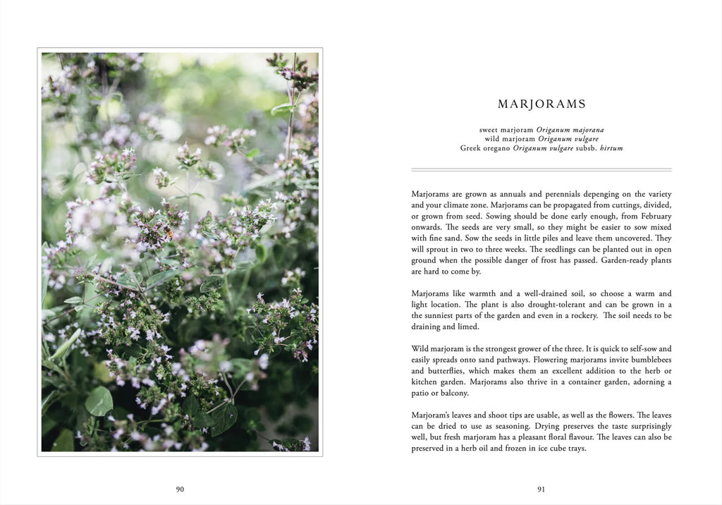 LivingWithHerbs_Layout_05.jpg.webp