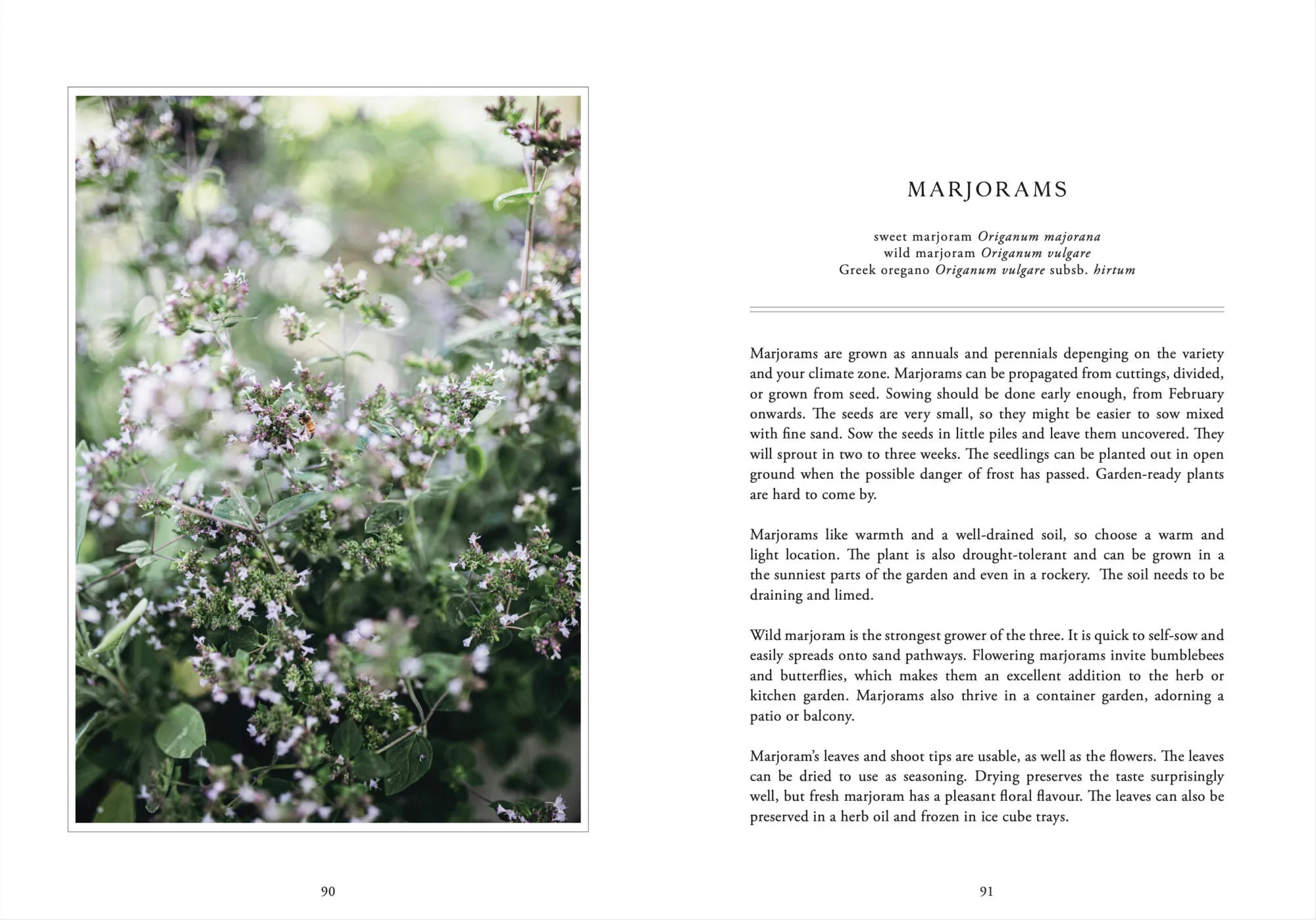 LivingWithHerbs_Layout_05.jpg.webp