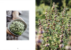 LivingWithHerbs_Layout_10.jpg.webp