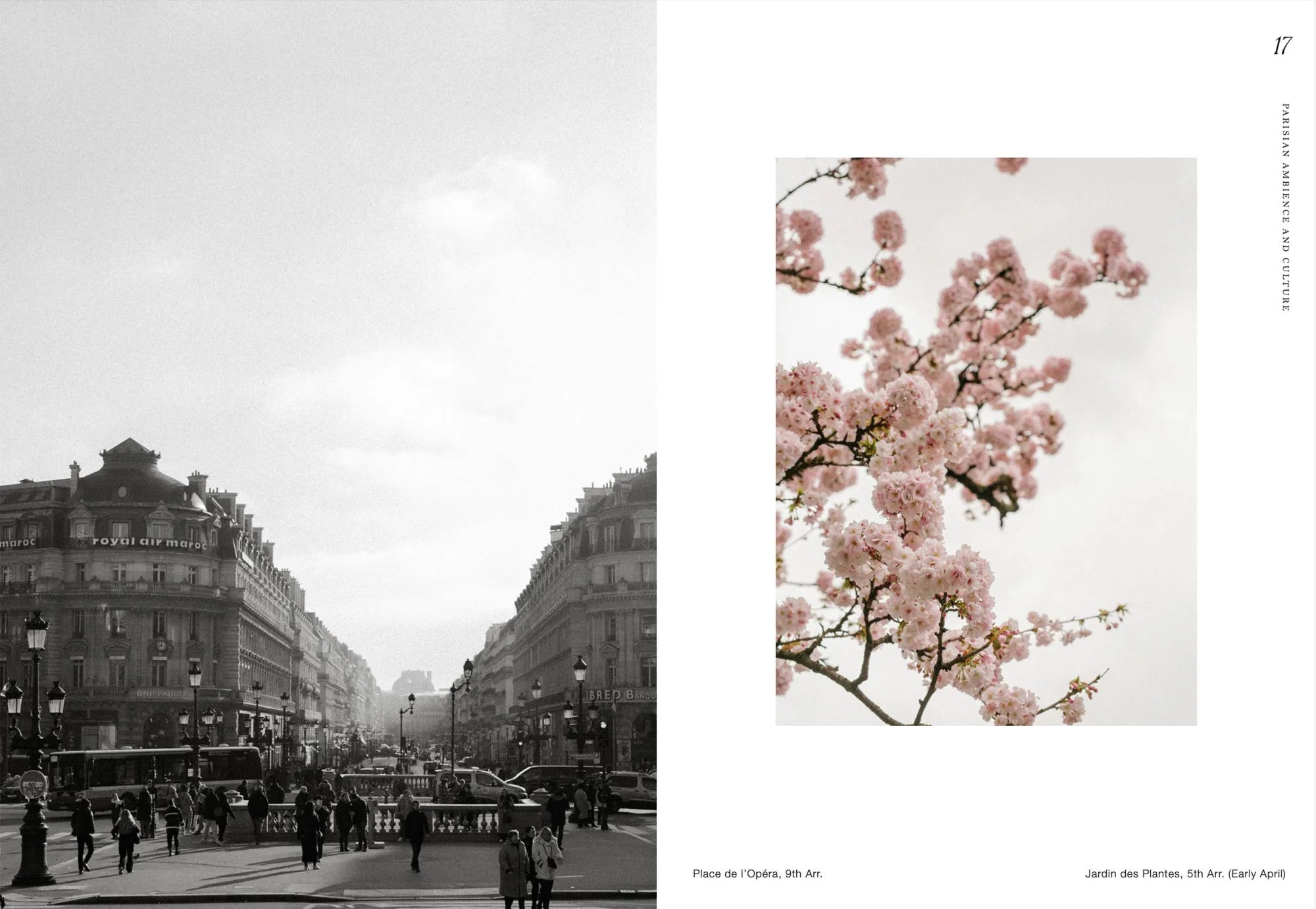 Dreamcozy_Paris_DreamyTipsForTheCityOfLove_3.jpg.webp