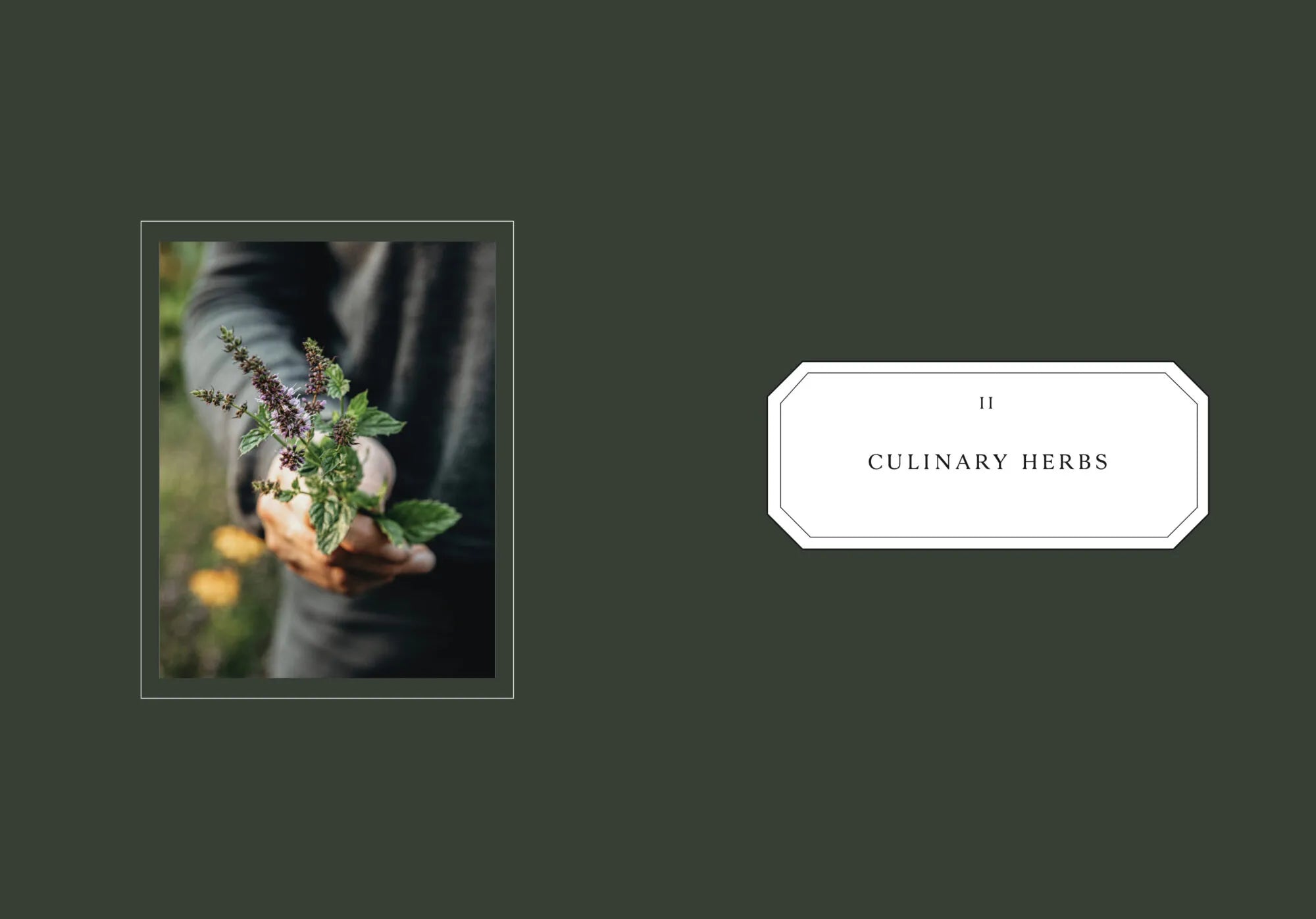 LivingWithHerbs_Layout_04.jpg.webp