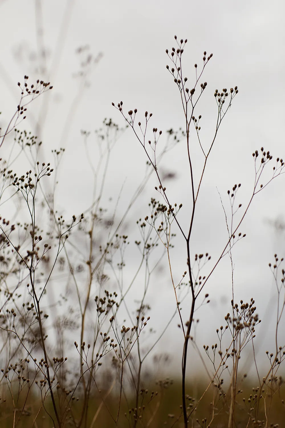 Coffee Table Book - Sauna