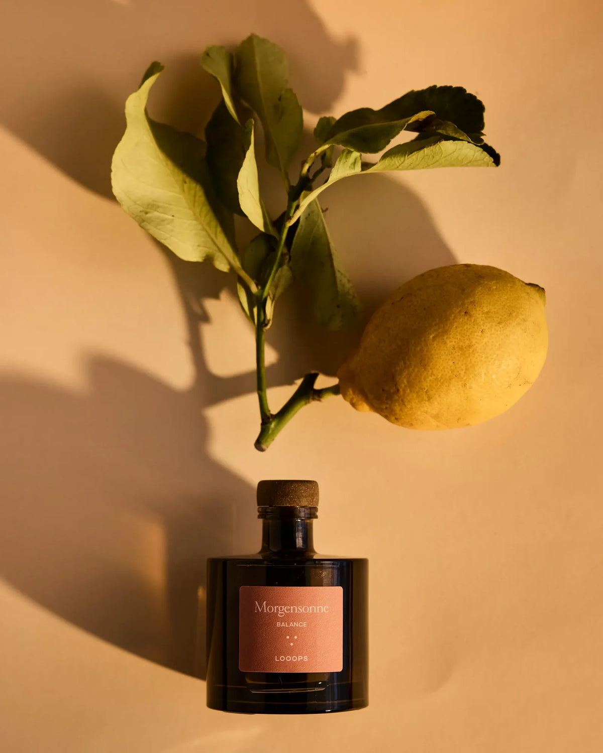 Looops Duftstäbchen · Raumduft Morgensonne · 100ml –
