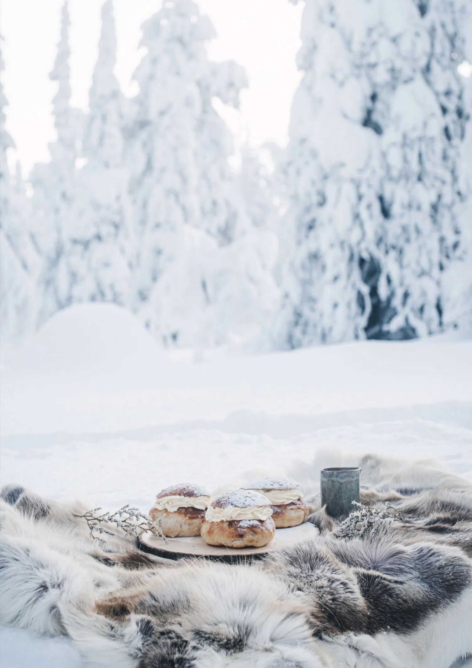 Coffee Table Book - Nordic Winter Cookbook